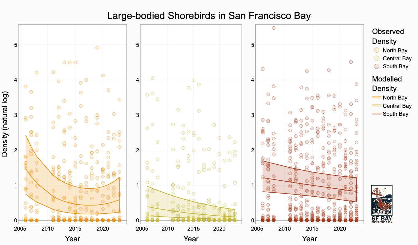 shorebirds_species-large_region-all