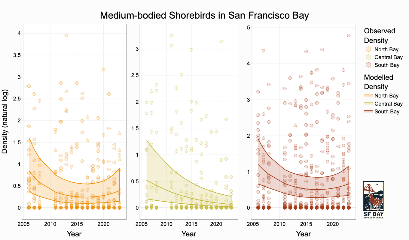 shorebirds_species-medium_region-all