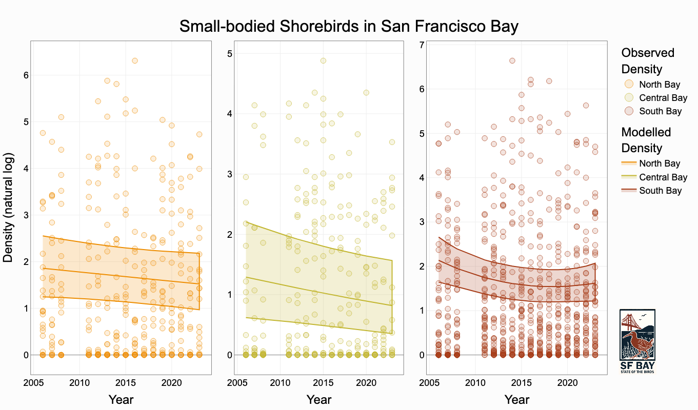 shorebirds_species-small_region-all
